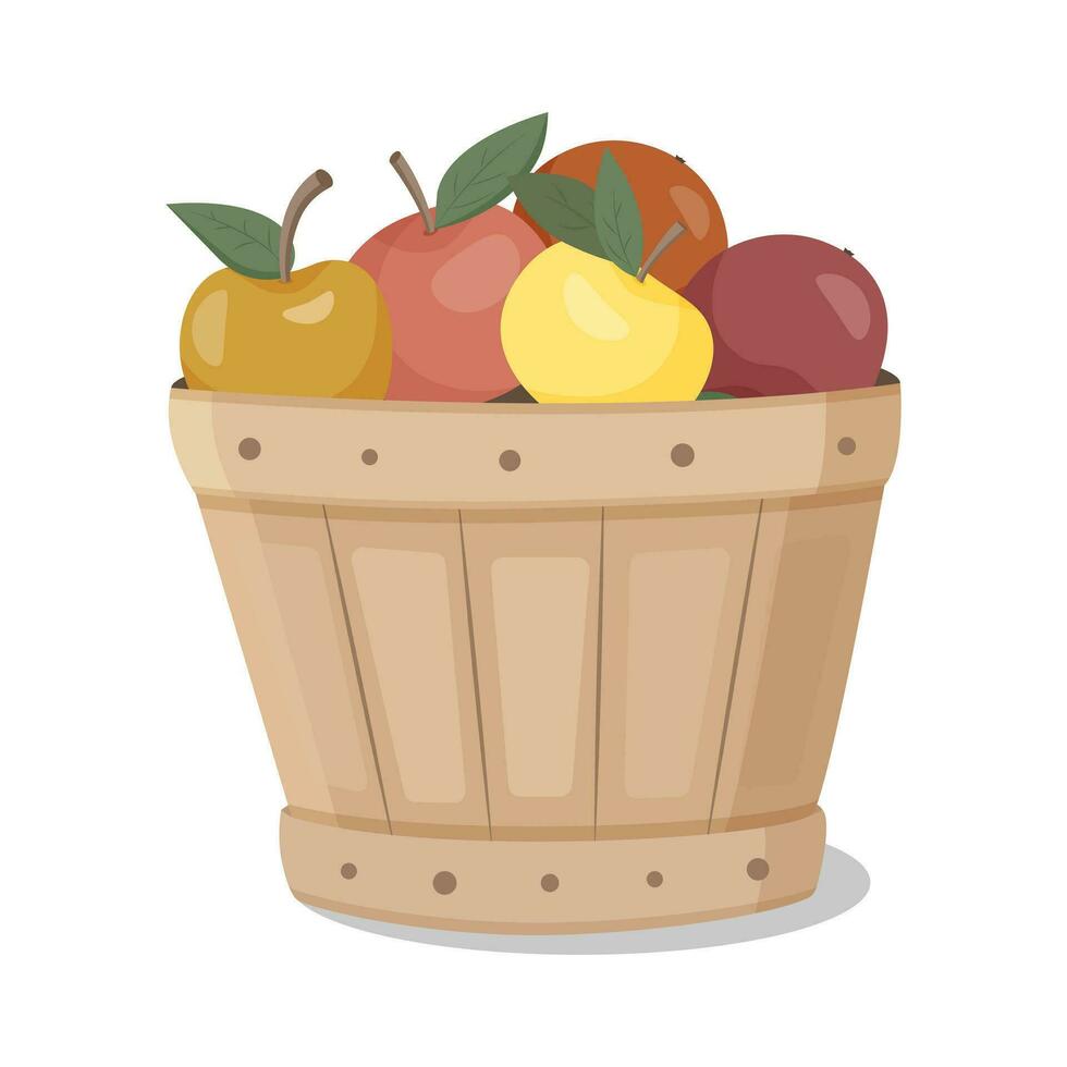 aislado manzanas Fruta caja. busket con frutas vector diseño