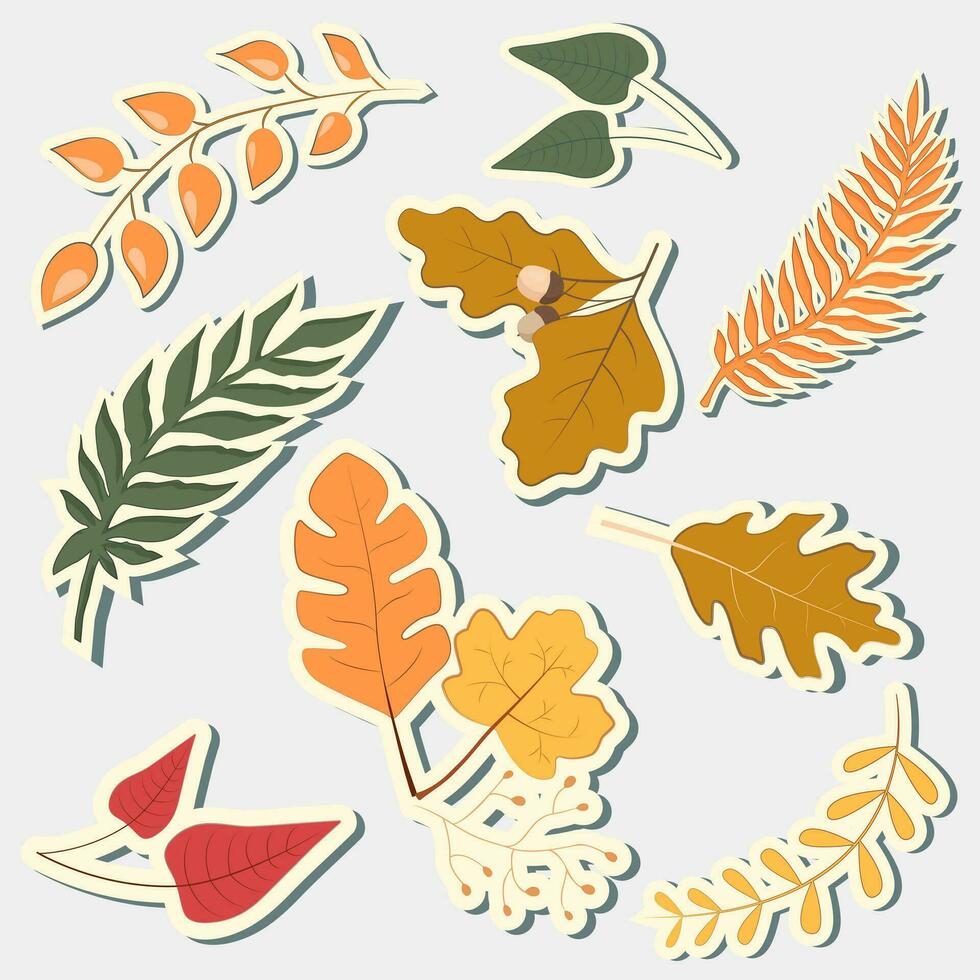 Set of colorful autumn leaves. Vector autumn leaves stickers.