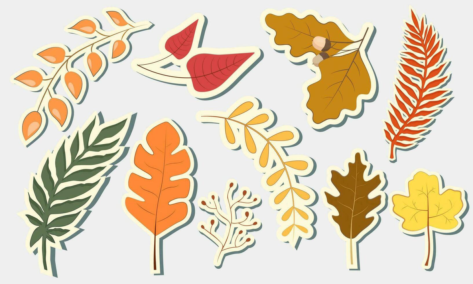 Set of colorful autumn leaves. Vector autumn leaves stickers.