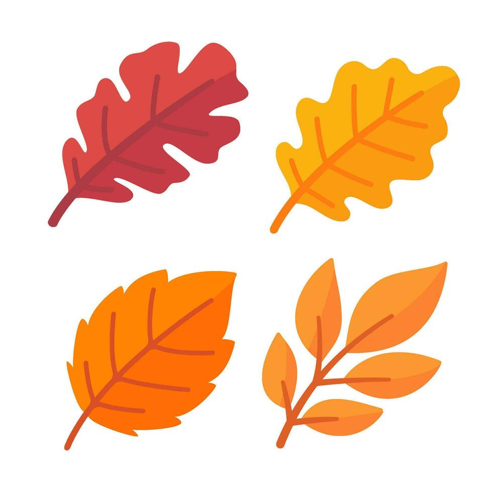 Beautiful leaf composition. Leaves change color in autumn vector