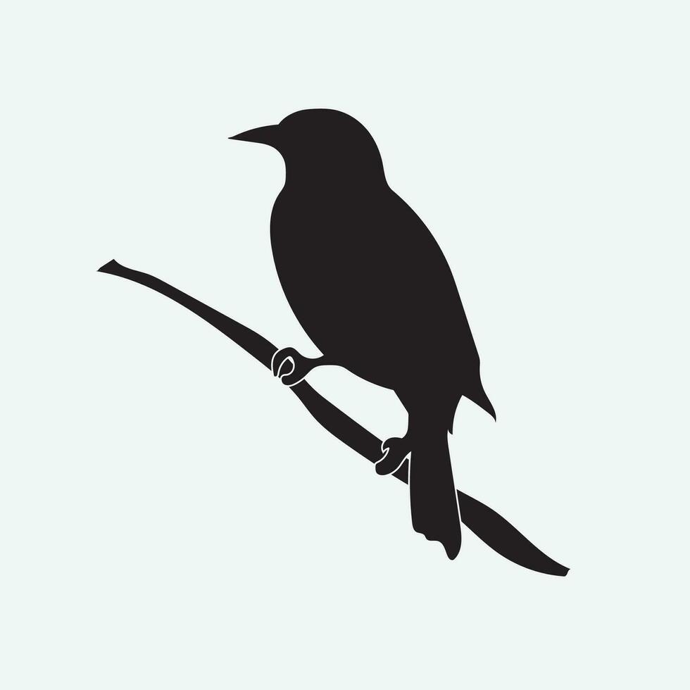 pájaro vector png