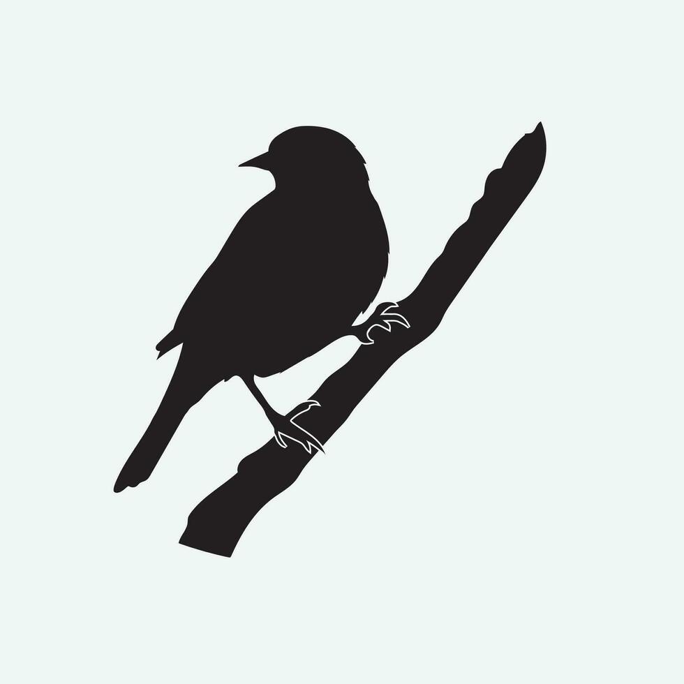 pájaro vector png