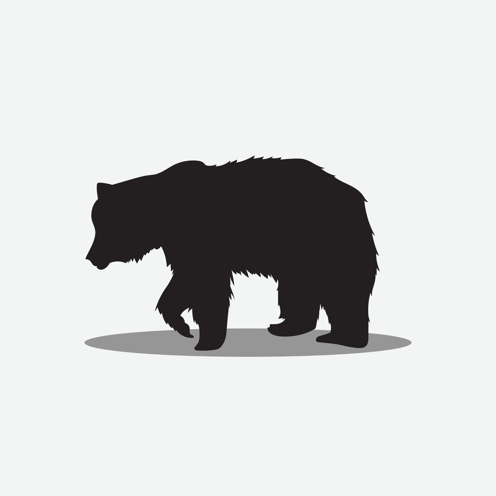 oso vector png 29749895 Vector en Vecteezy