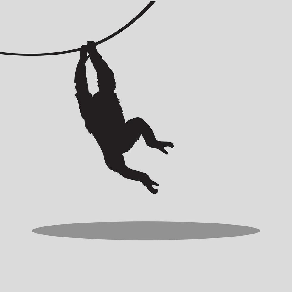 Monkey Vecrtor image vector