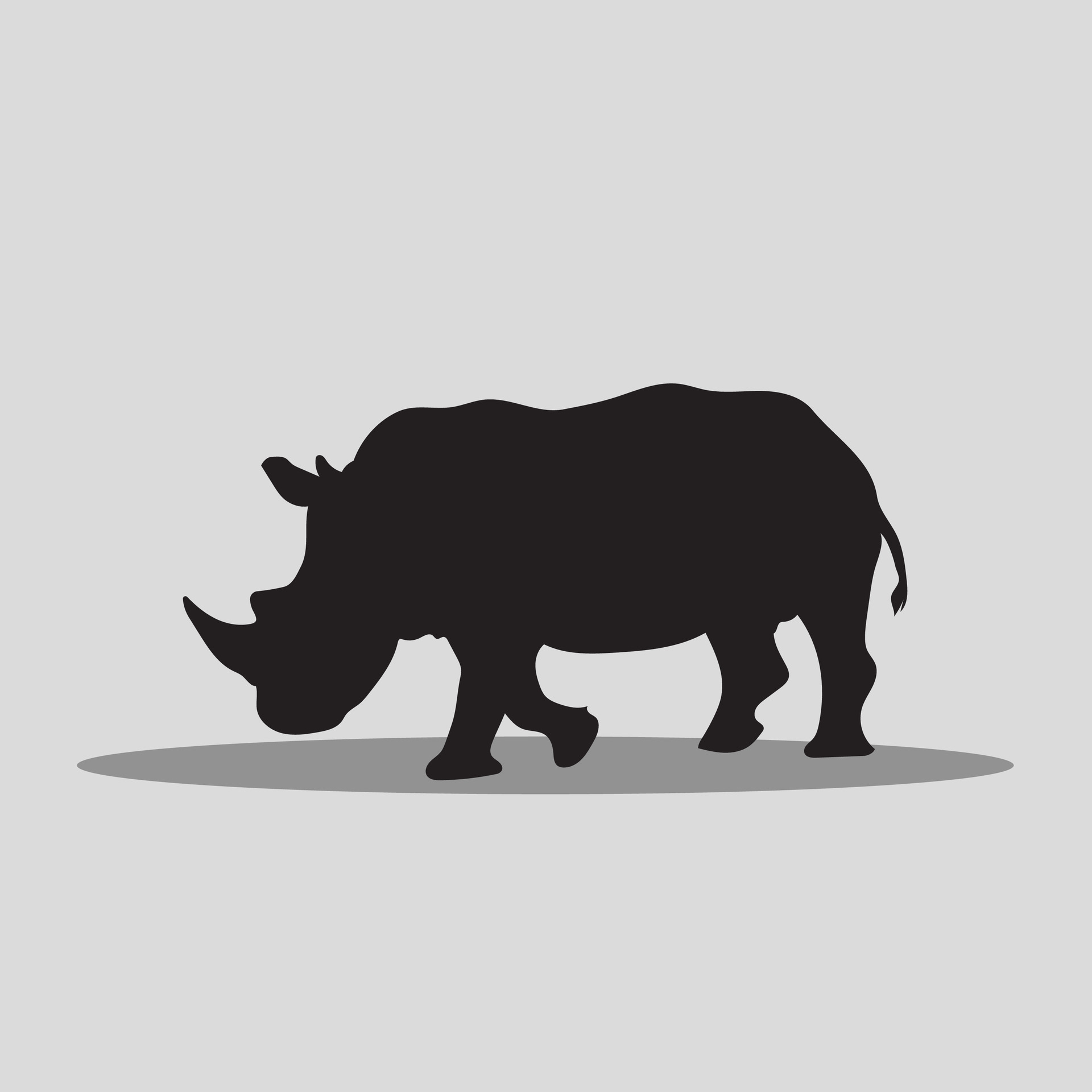 Rhino vector png 29749908 Vector Art at Vecteezy