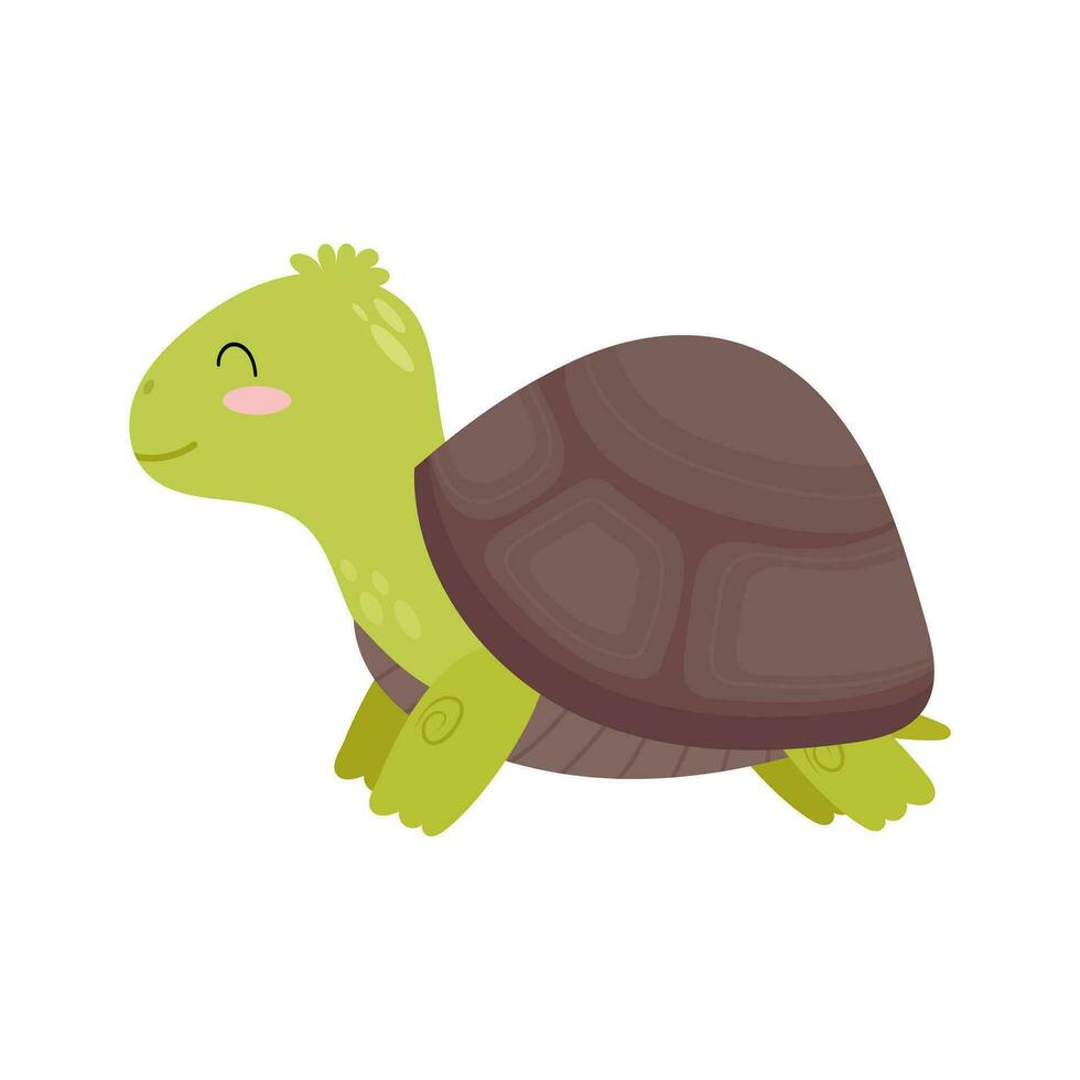 Turtle. Vector illustration of a ground turtle. Cute smiling turtle.