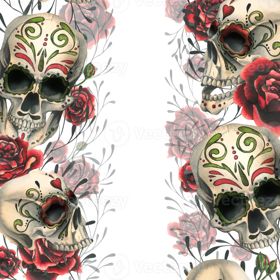Ornamented human skulls with red roses. Hand drawn watercolor illustration for day of the dead, halloween, Dia de los muertos. Borders, template, frame png