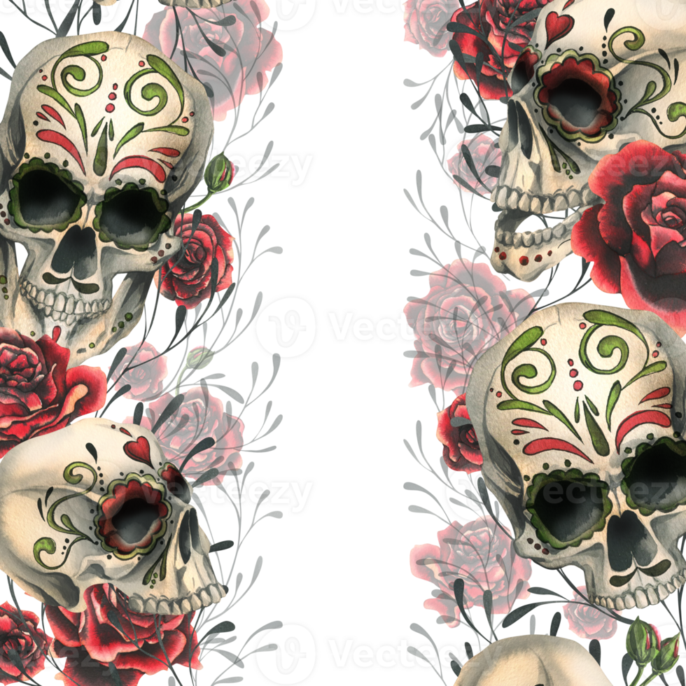 adornado humano calaveras con rojo rosas. mano dibujado acuarela ilustración para día de el muerto, Víspera de Todos los Santos, dia Delaware los muertos. fronteras, plantilla, marco png