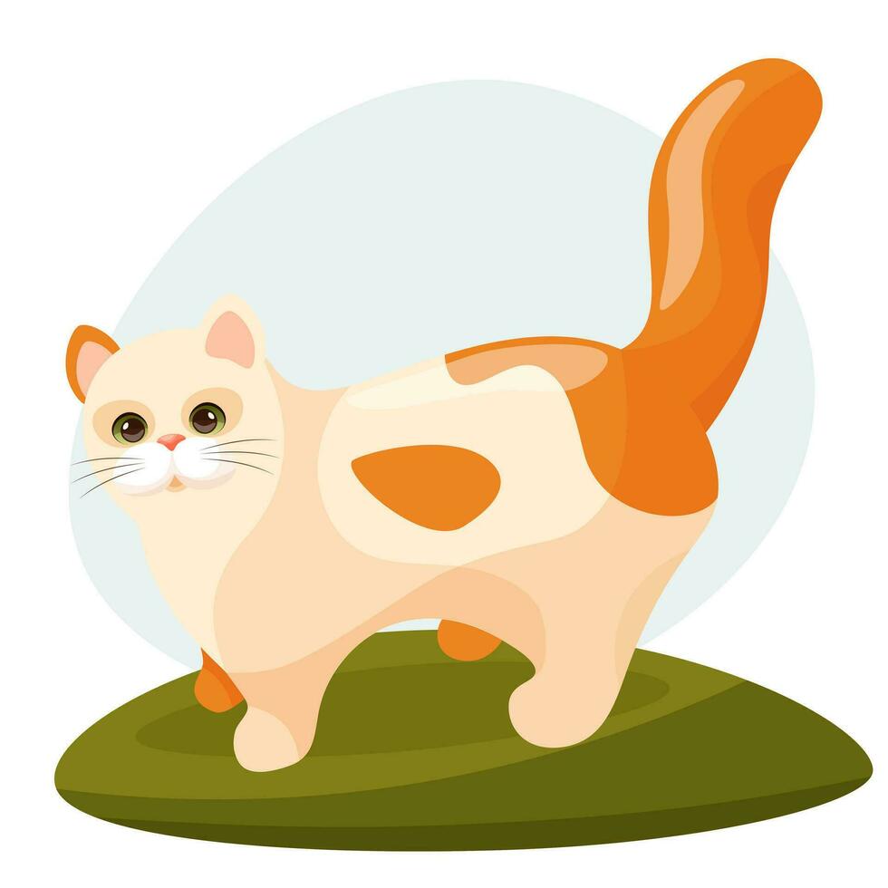 Vector flat cartoon red kawaii kitten. The cat stands at full height in a green clearing. For a pet store, grooming services, cat salon. Banner, postcard, poster