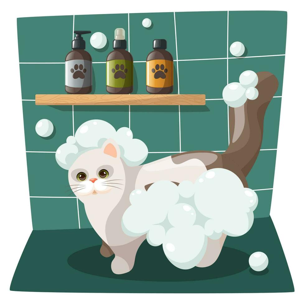 el gato es tomando un baño. cuidado y Lavado de gatos gato cuidado. linda dibujos animados gato personaje en pie en el ducha. diseño para un aseo salón, veterinario clínica. vector