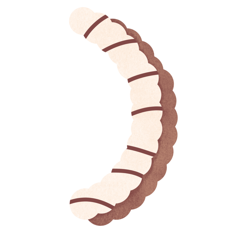 Letters and numbers cartoon sweet candy bakery png