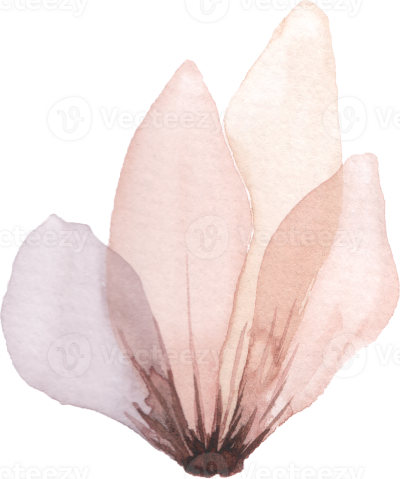 Pastell- Blume Aquarell png