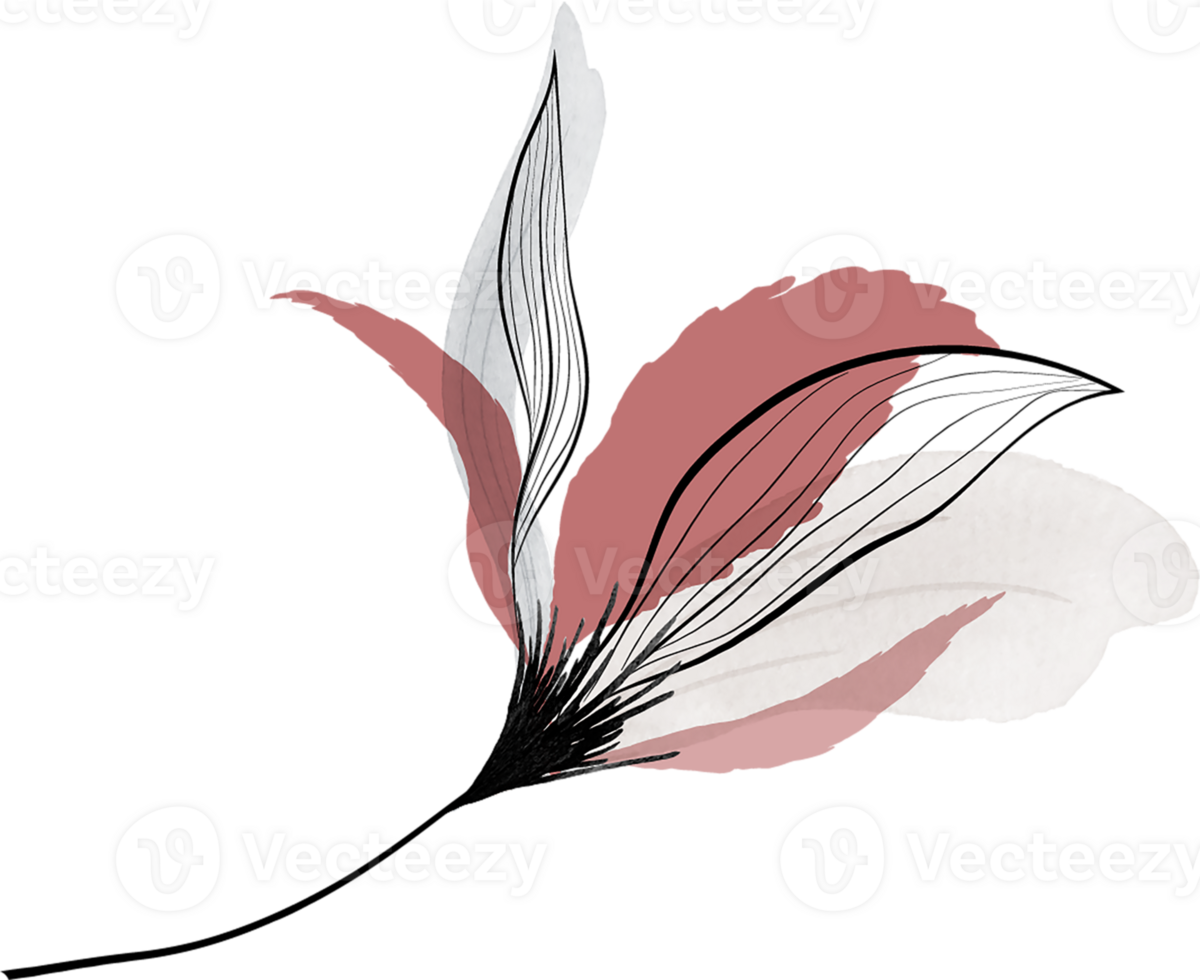 Pink Floral Watercolor png