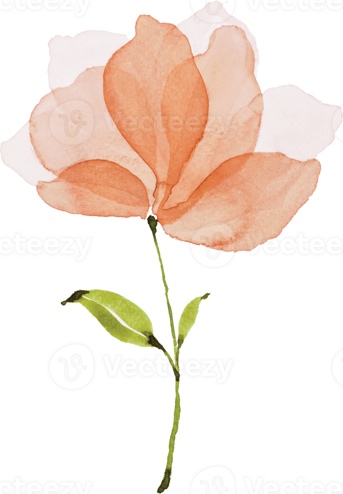 orangefarbenes Blumenaquarell png