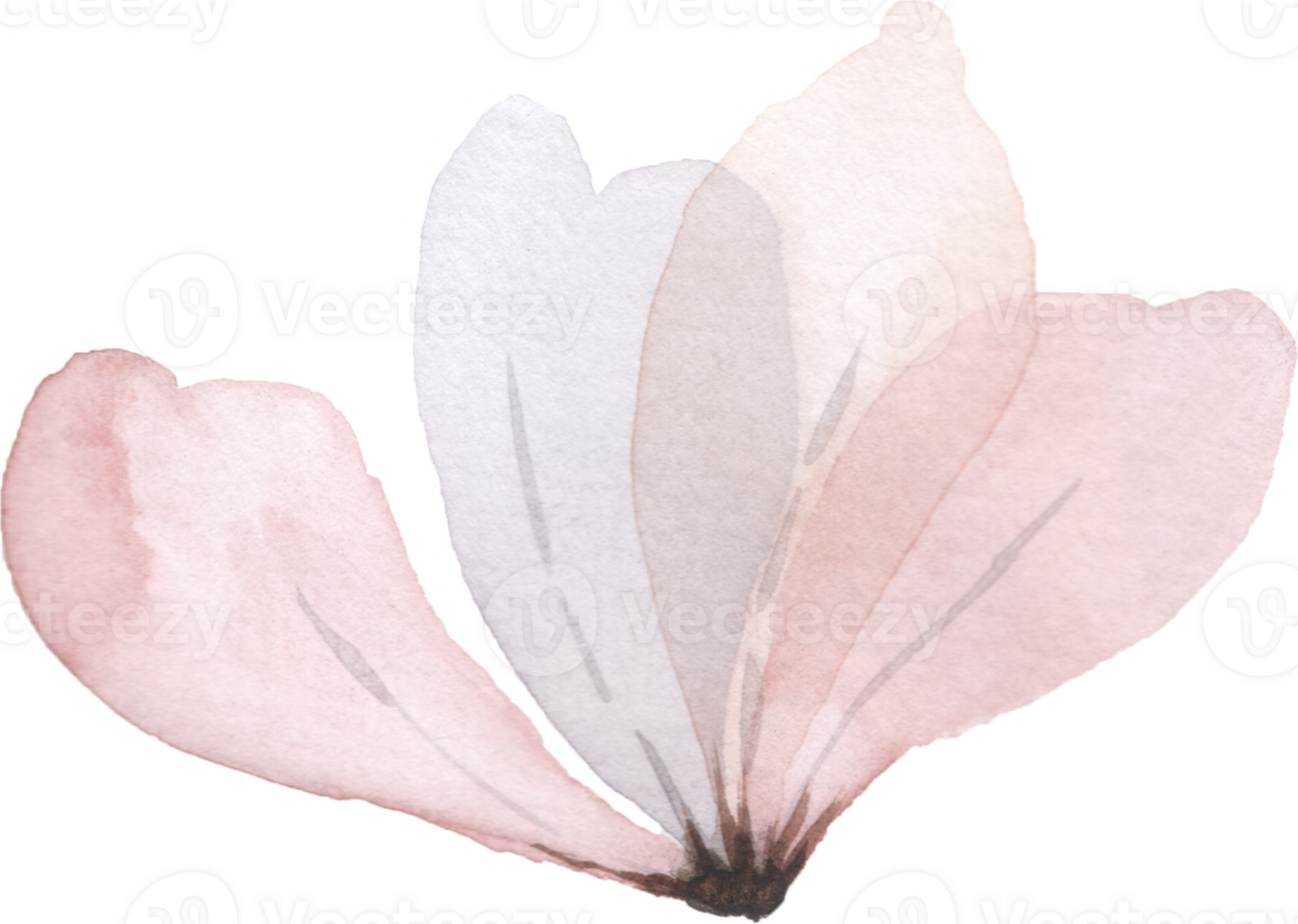 Pastel Flower Watercolor png