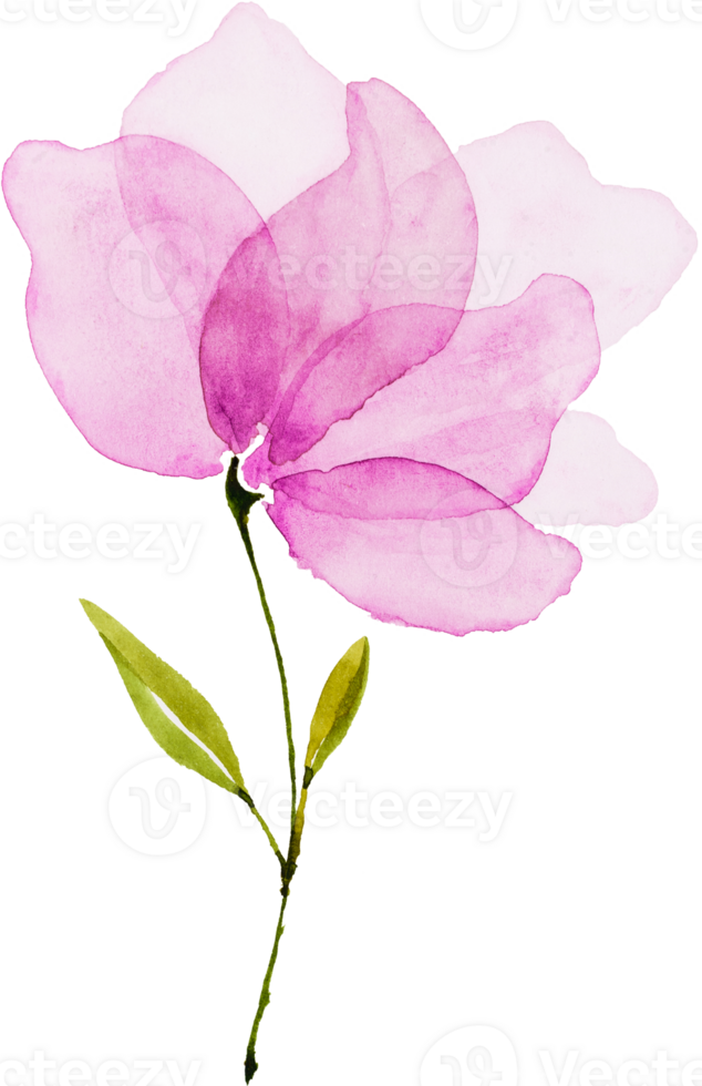 Pink Flower Watercolor png