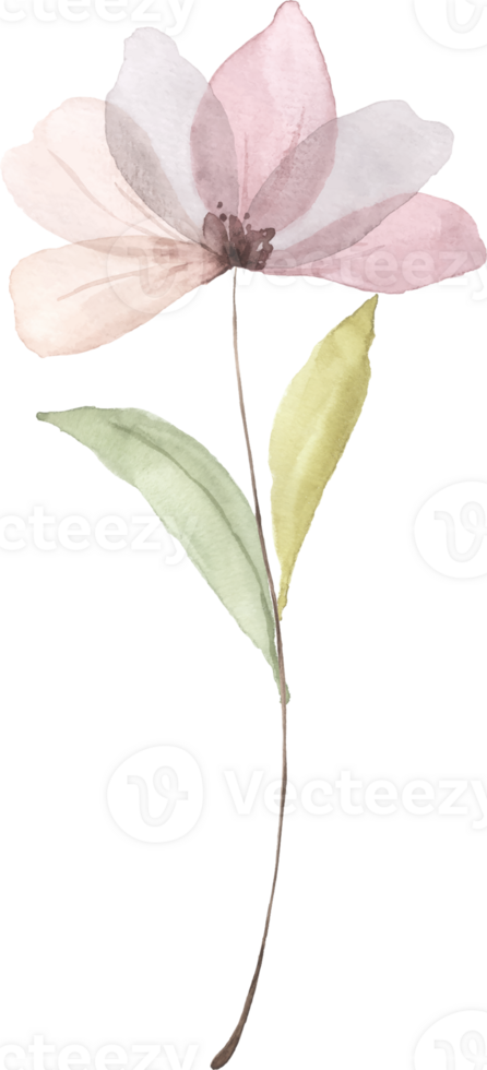 Pink Floral Watercolor png