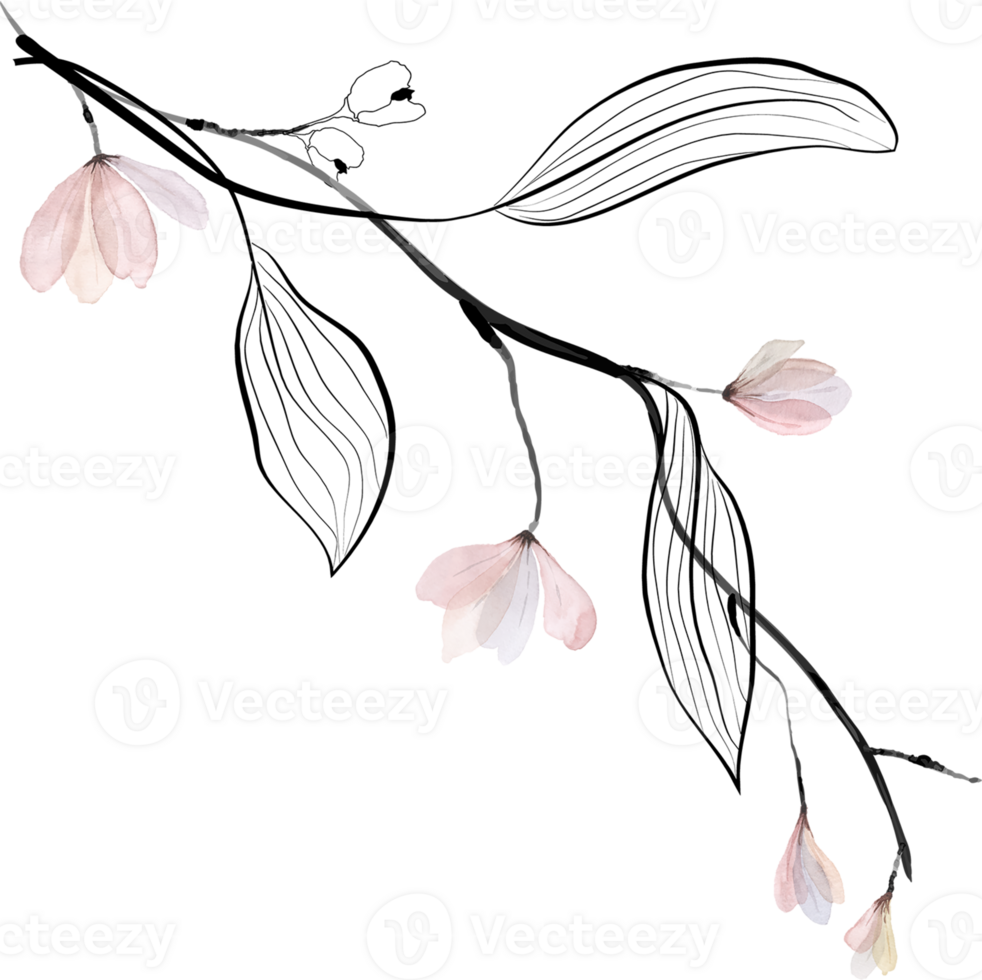 Pink Flowers Branches Watercolor png