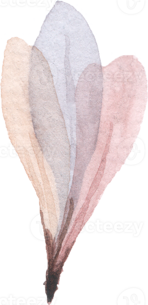 Pastel Flower Watercolor png