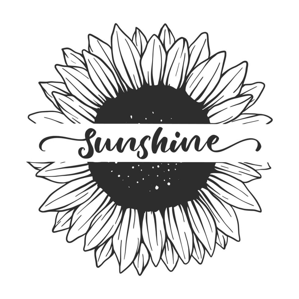 Sunflower vector illustration. Sunflower Monogram, Sunflower isolated. Botanical floral illustration.
