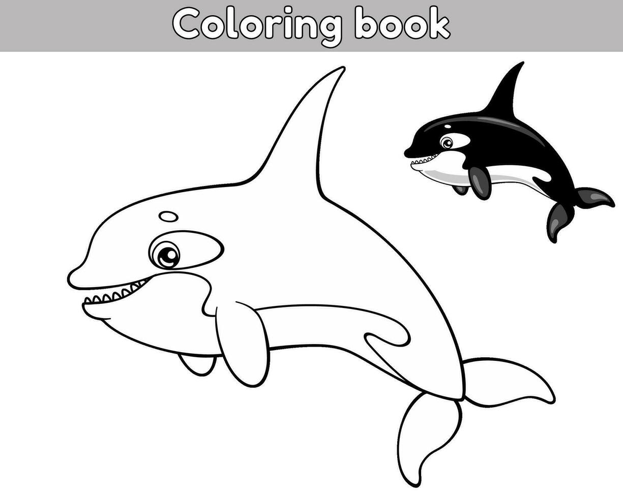 Page of the kids coloring book. Color cartoon orca. Worksheet for children with contour sea animal. Vector outline illustration ocean creature. Isolated on a white background.