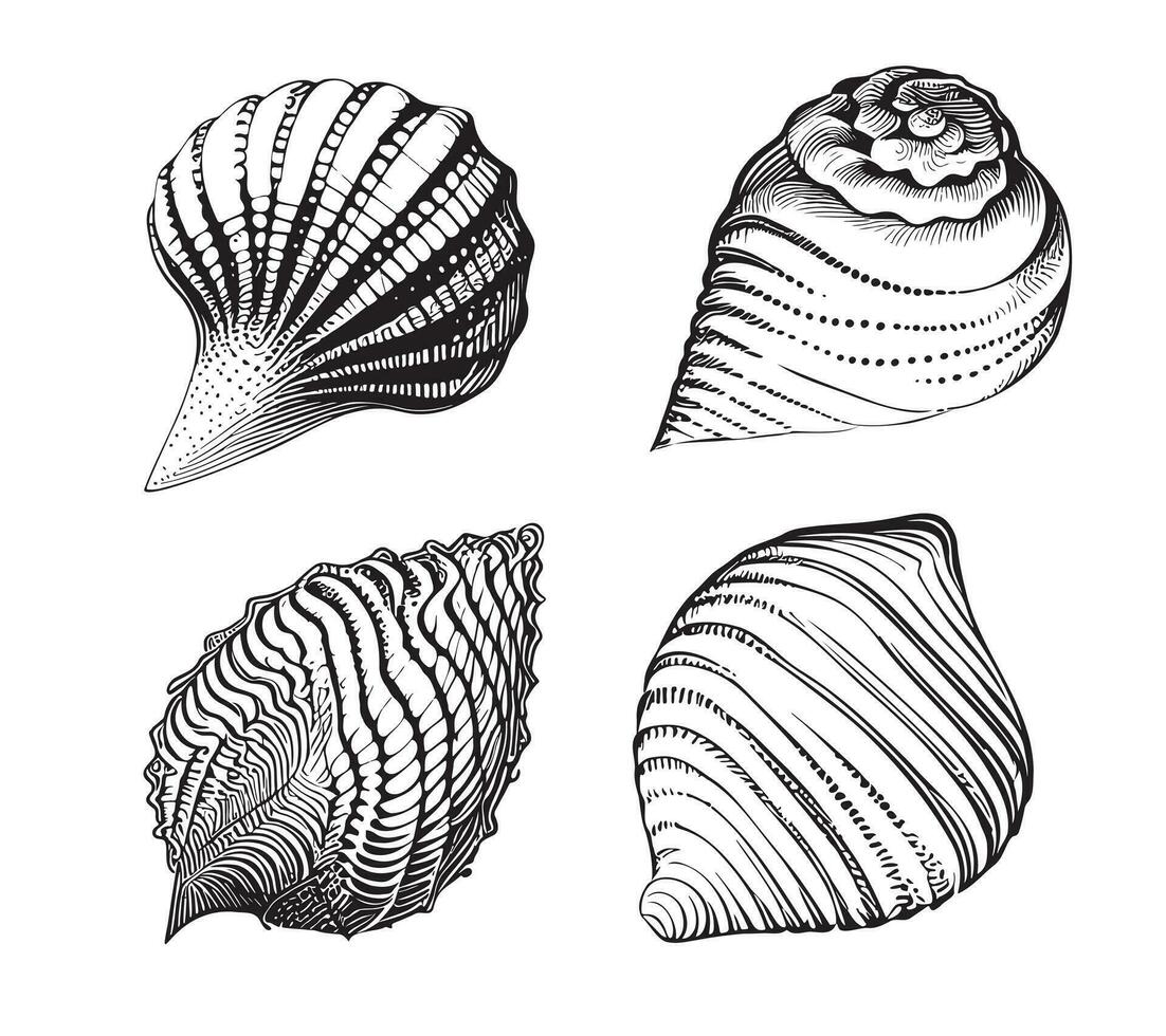 concha conjunto mano dibujado bosquejo vector ilustración mar animales