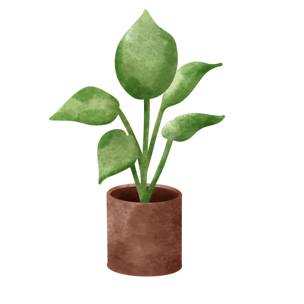 Houseplant elements on pottery. png