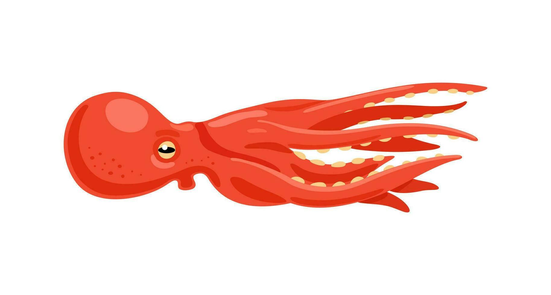 pulpo. habitante de el mar. vector ilustración en un blanco antecedentes.