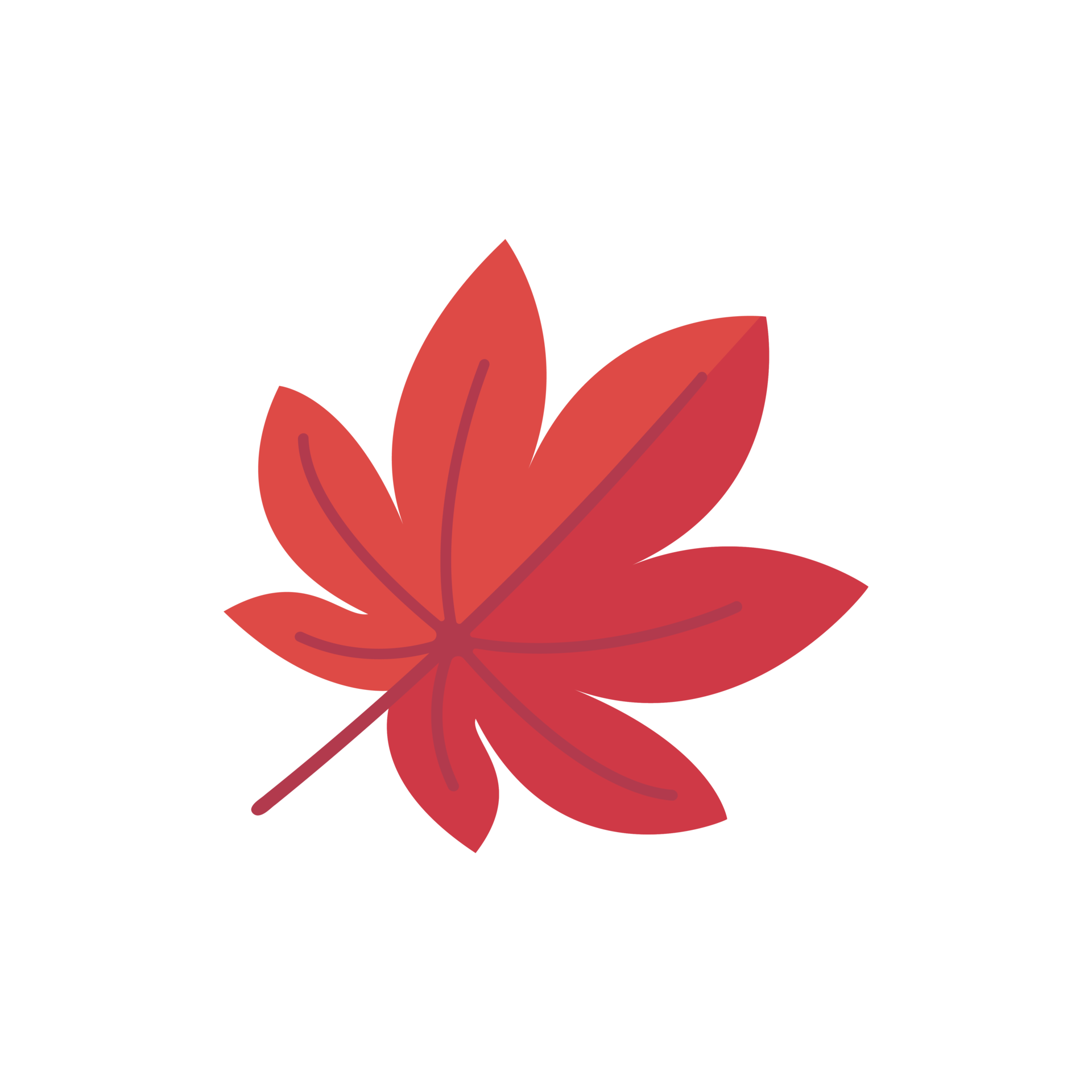 beautiful-leaf-composition-leaves-change-color-in-autumn-29759993-png