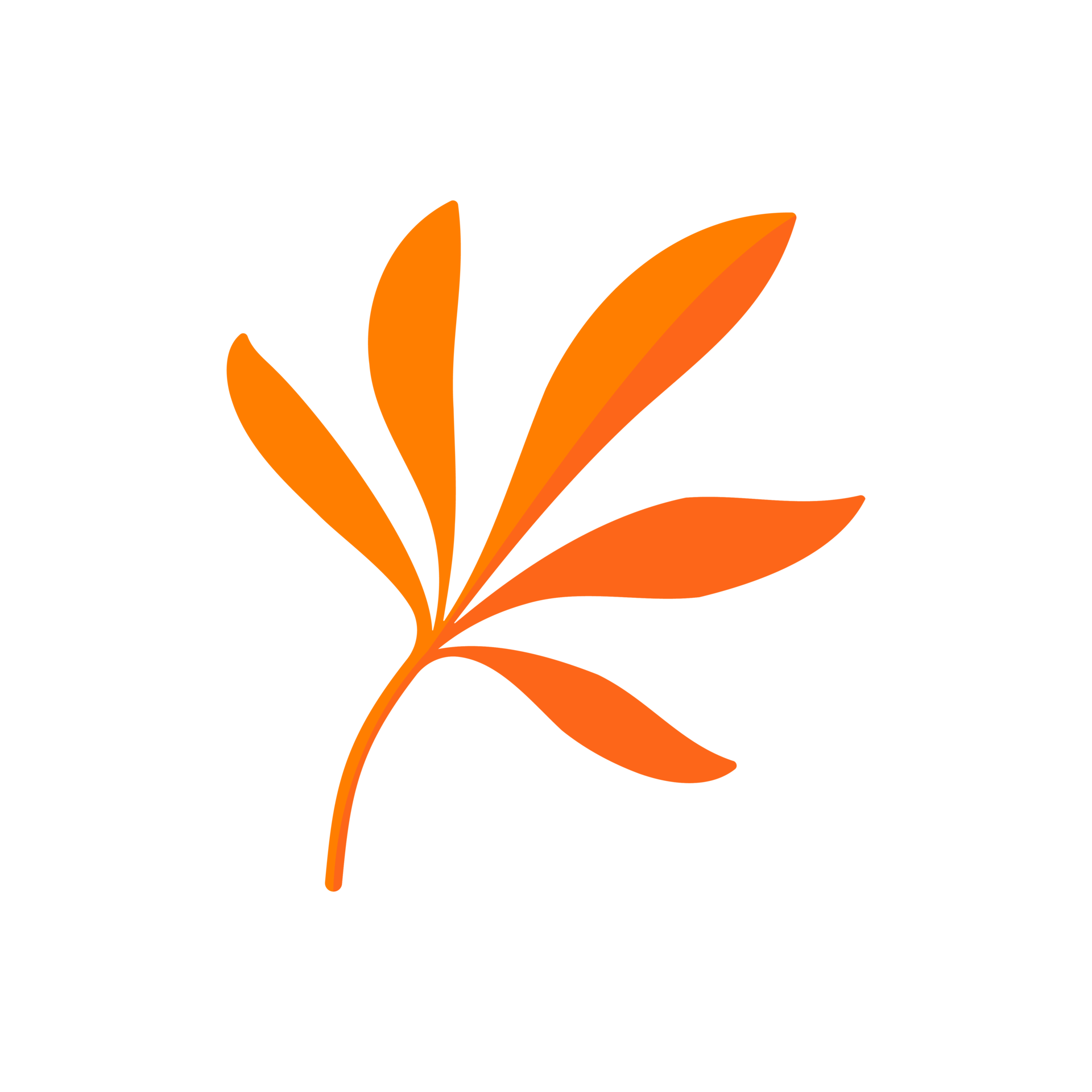 beautiful-leaf-composition-leaves-change-color-in-autumn-29759996-png