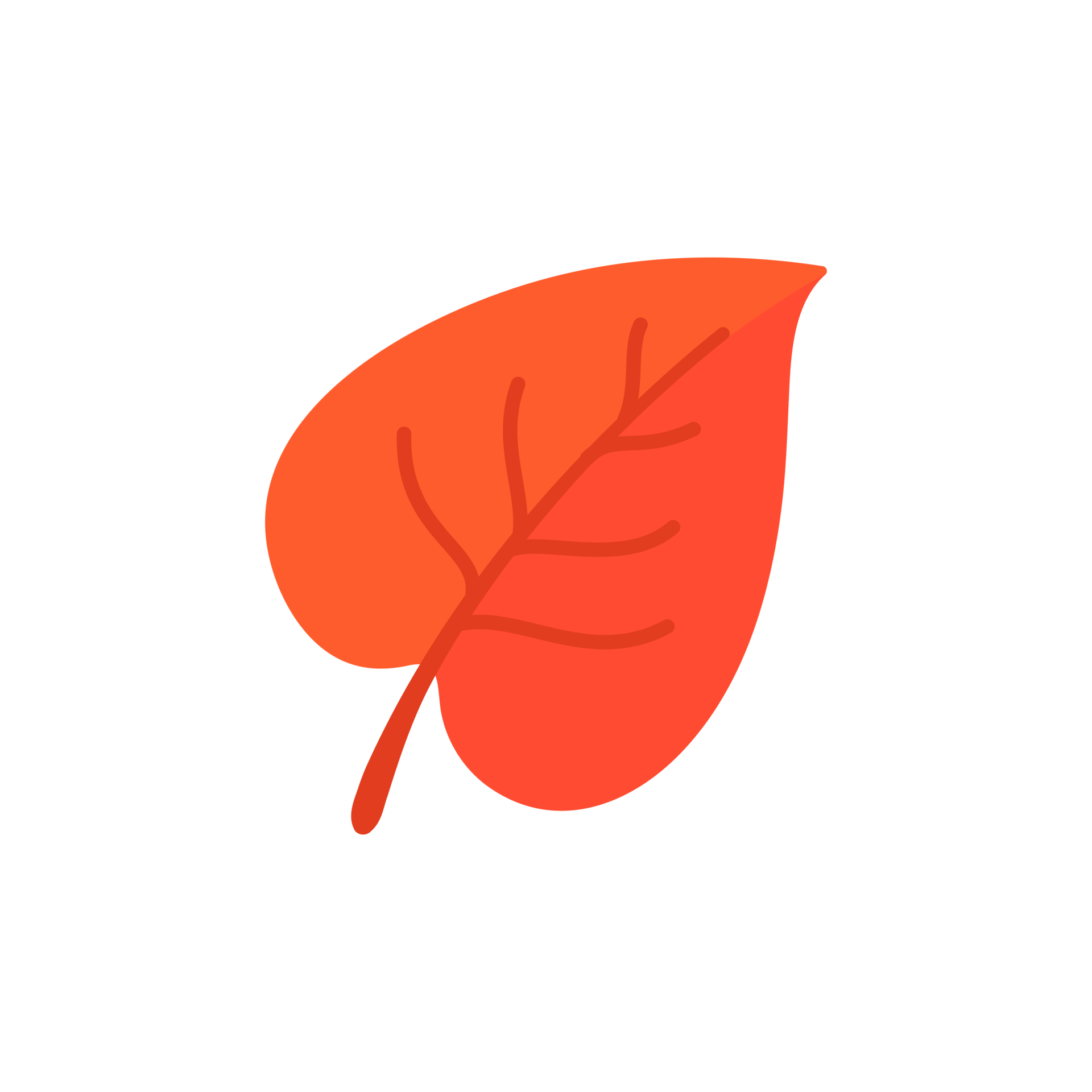 beautiful-leaf-composition-leaves-change-color-in-autumn-29760011-png