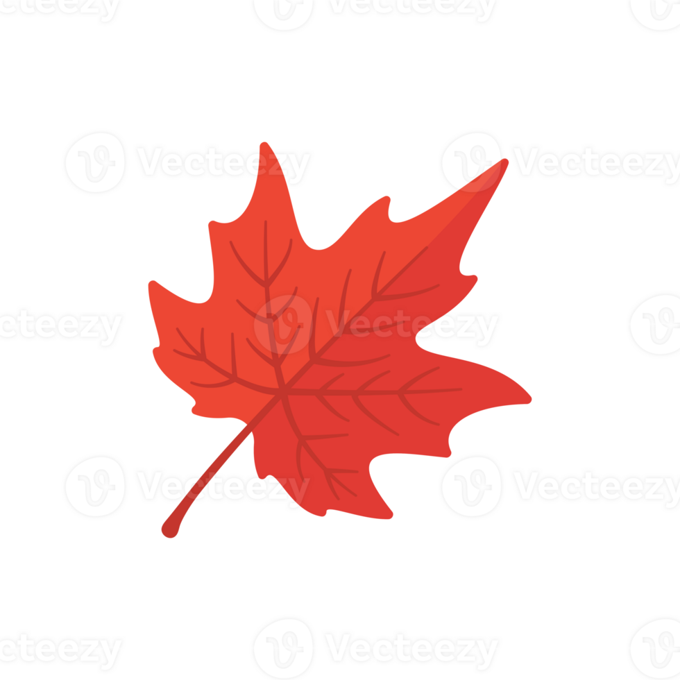 beautiful-leaf-composition-leaves-change-color-in-autumn-29760044-png