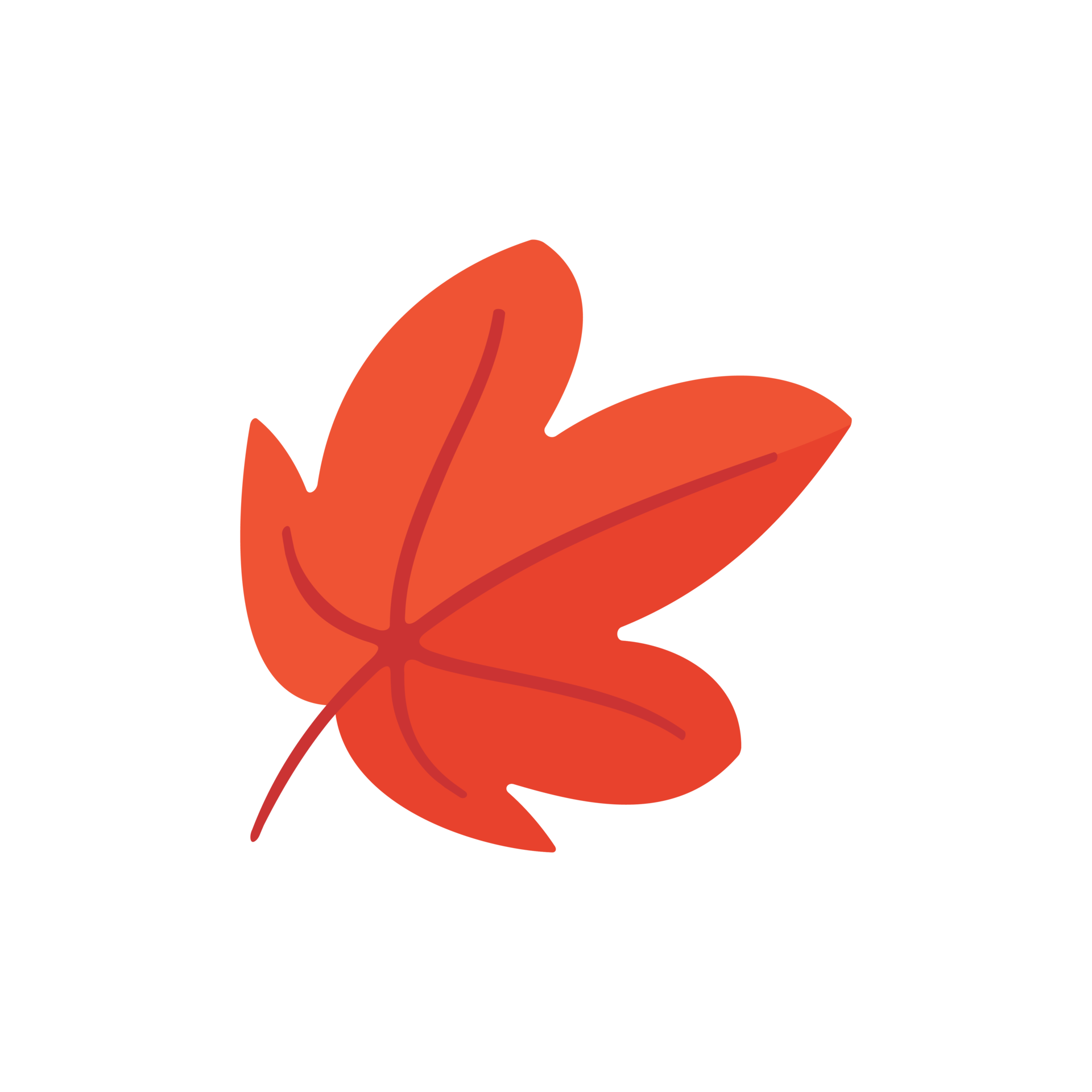 beautiful-leaf-composition-leaves-change-color-in-autumn-29760049-png
