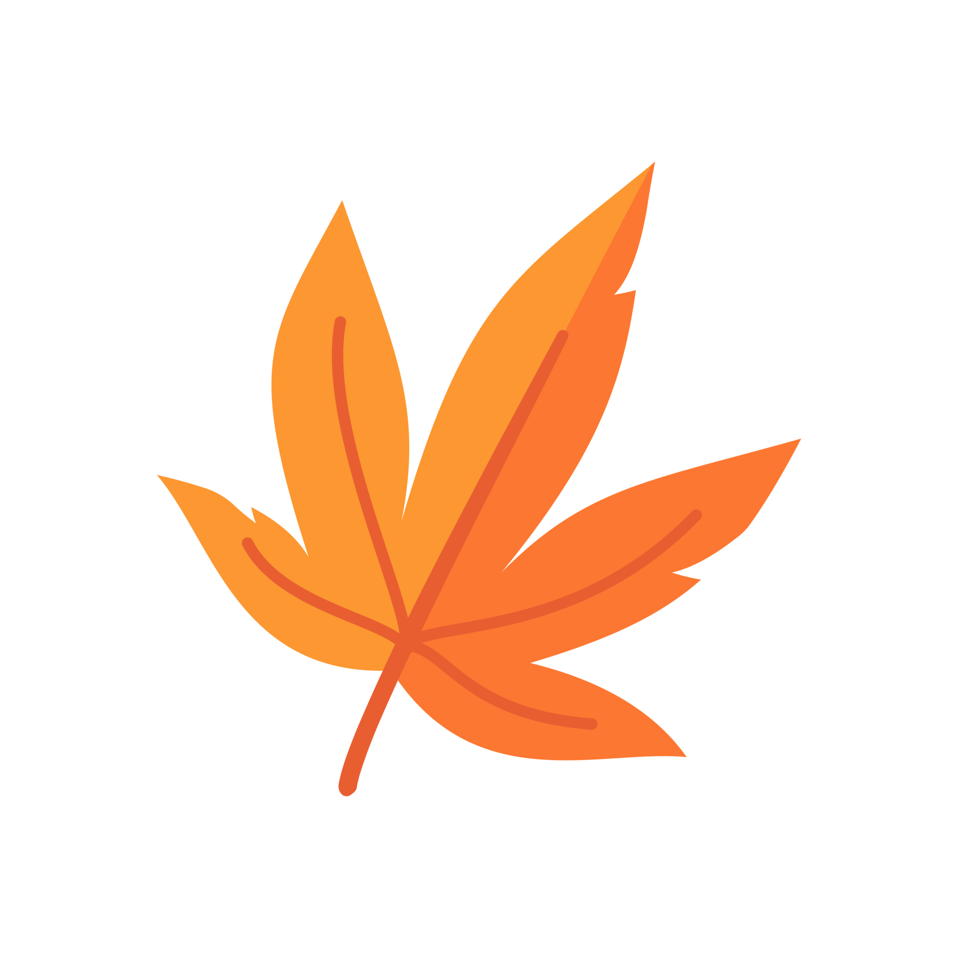 beautiful-leaf-composition-leaves-change-color-in-autumn-29760050-png
