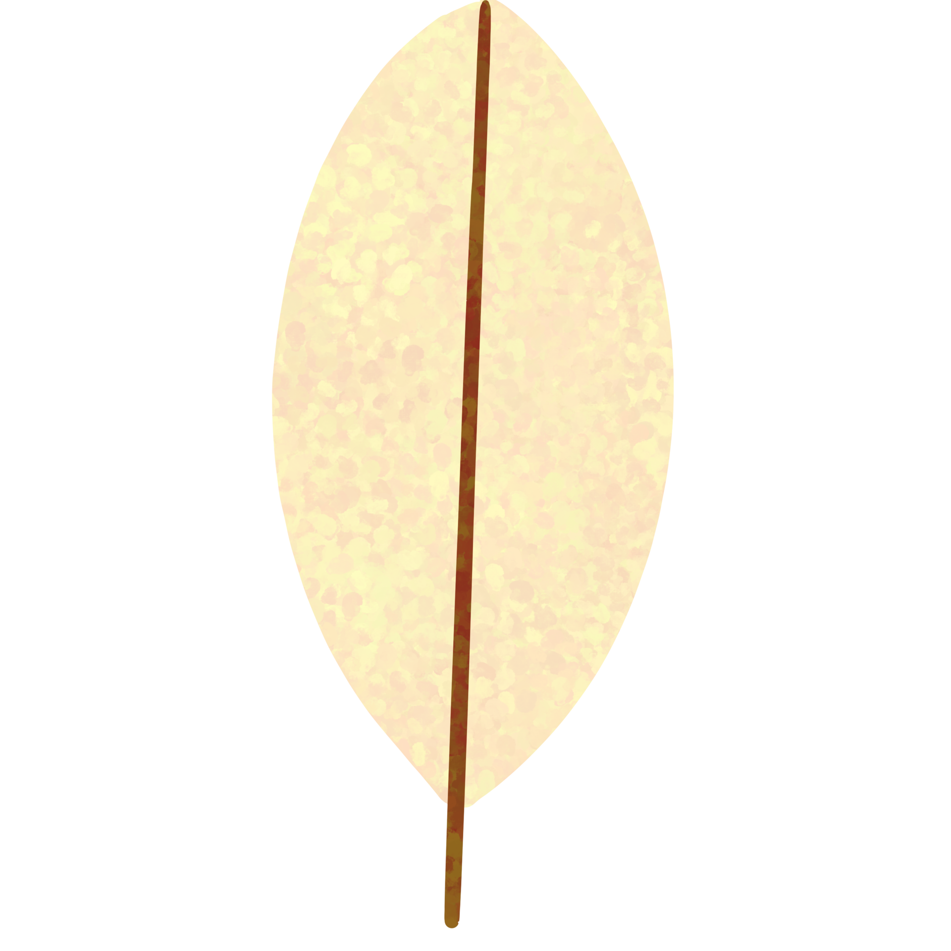 leaf-in-autumn-29760075-png