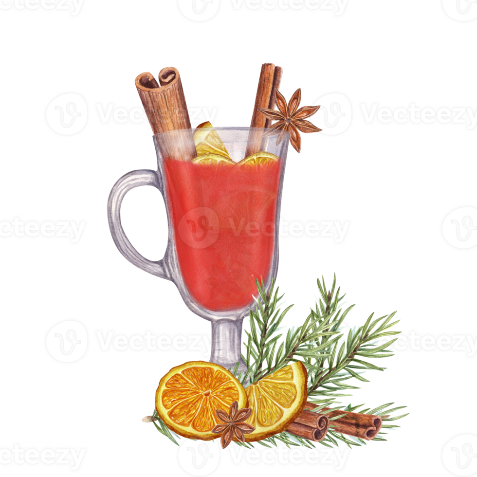 Winter beverage, Christmas Spices. Hot spicy punch. Spruce branch, dried orange slices. Mulled red wine with cinnamon sticks, star anise, orange. Watercolor illustration png