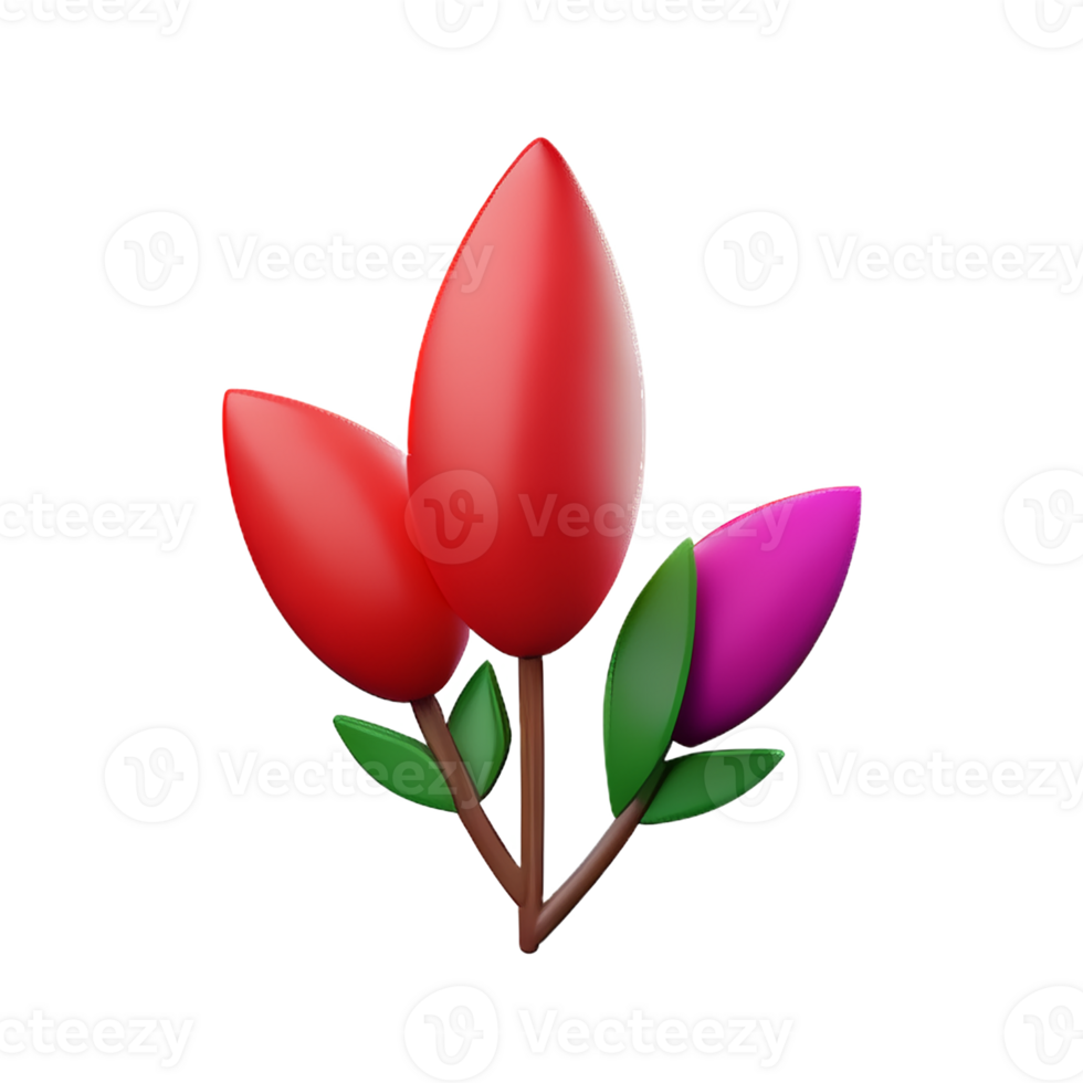 boho flowers 3d rendering icon illustration png