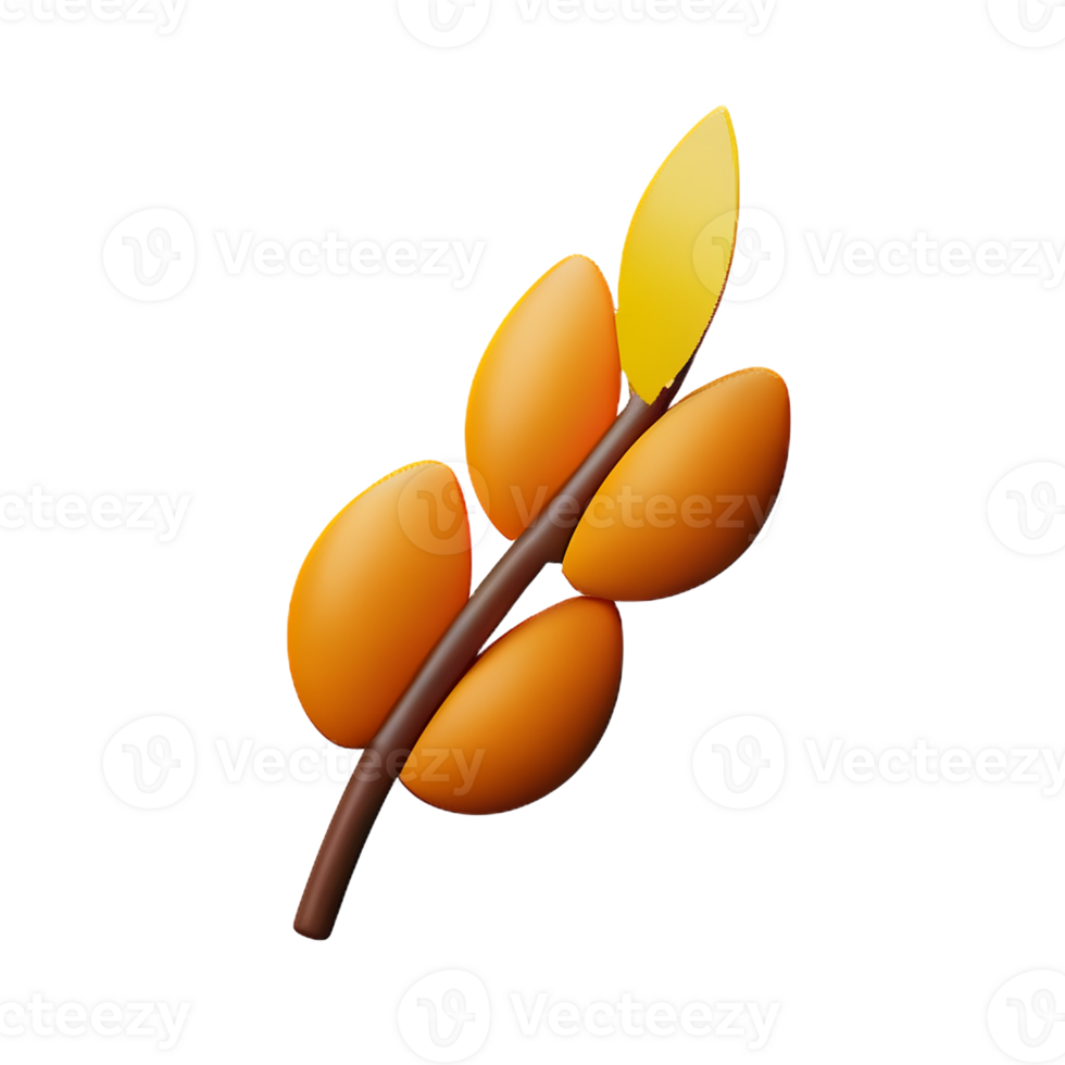 dried flowers 3d rendering icon illustration png