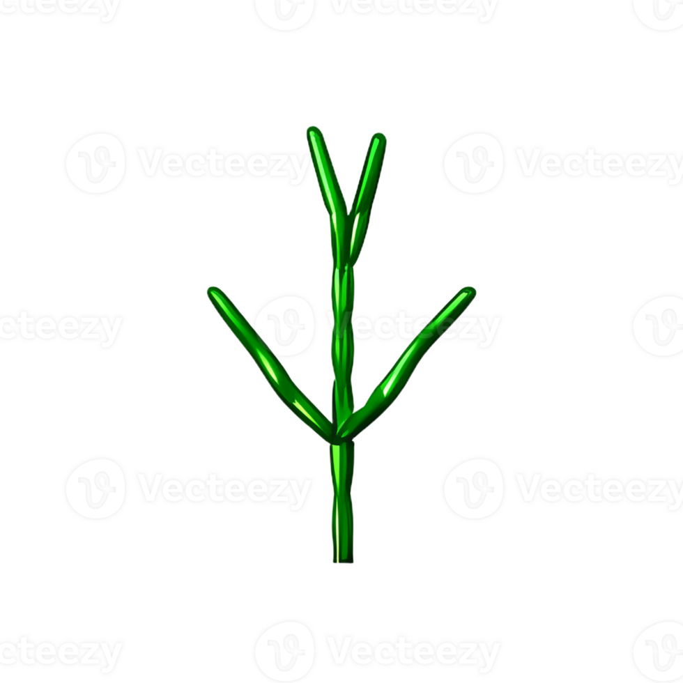 rosemary 3d rendering icon illustration png