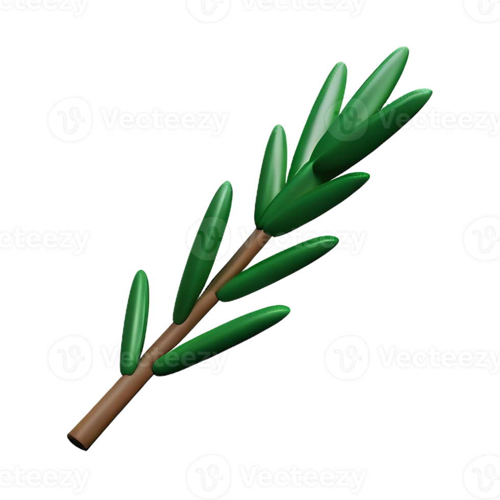 rosemary 3d rendering icon illustration png