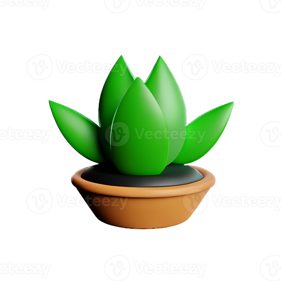 succulent 3d rendering icon illustration png