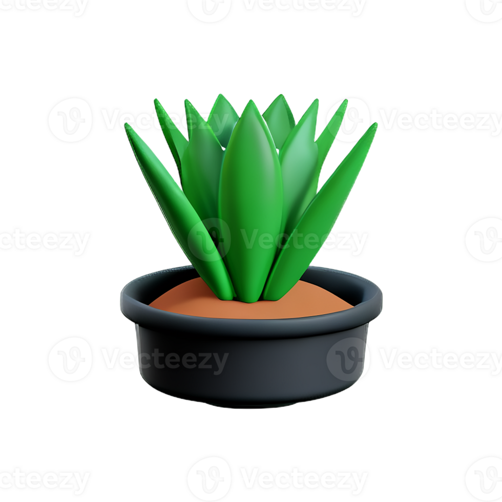 succulent 3d rendering icon illustration png