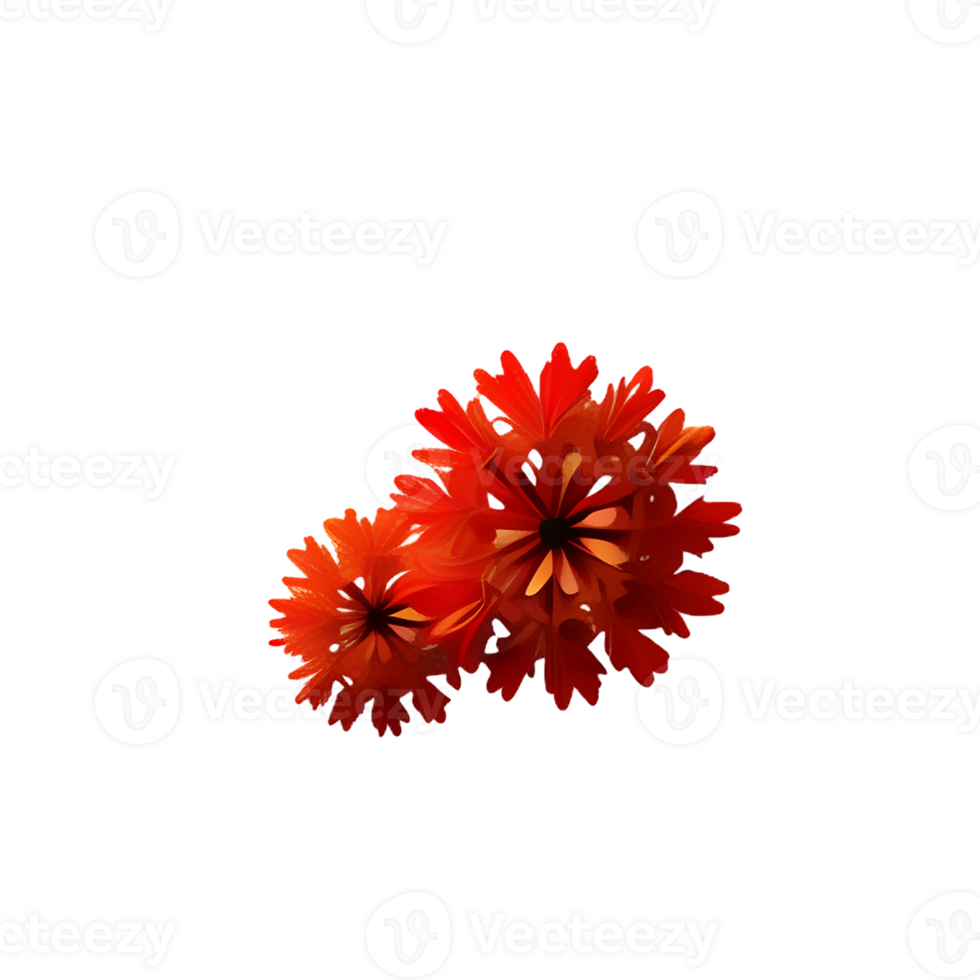 dried flowers 3d rendering icon illustration png