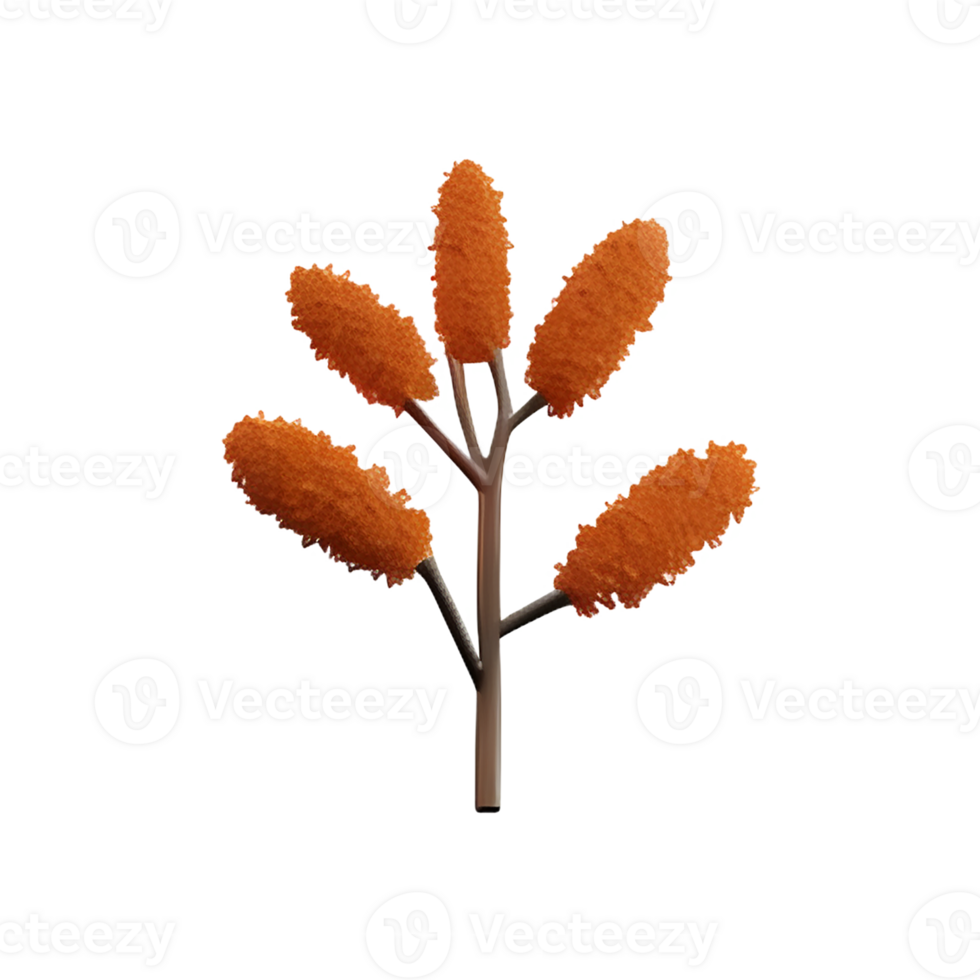 dried flowers 3d rendering icon illustration png