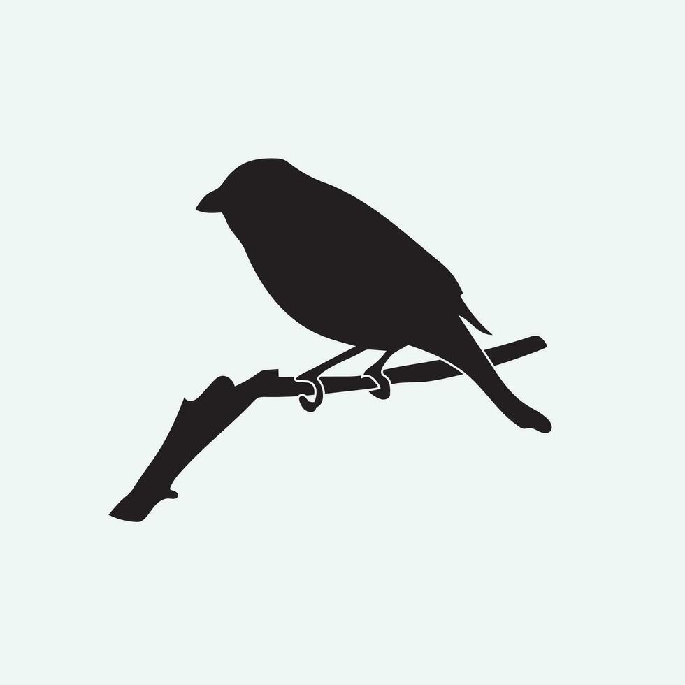 pájaro vector png