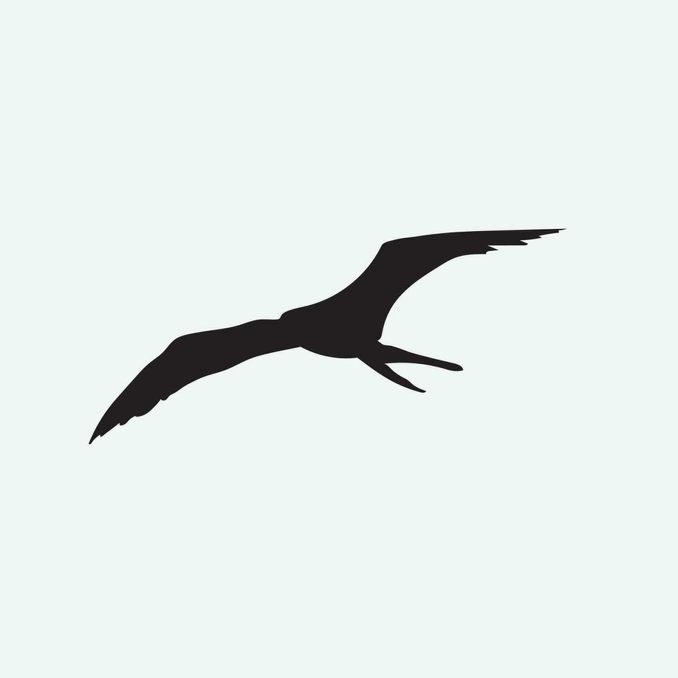 Bird vector png