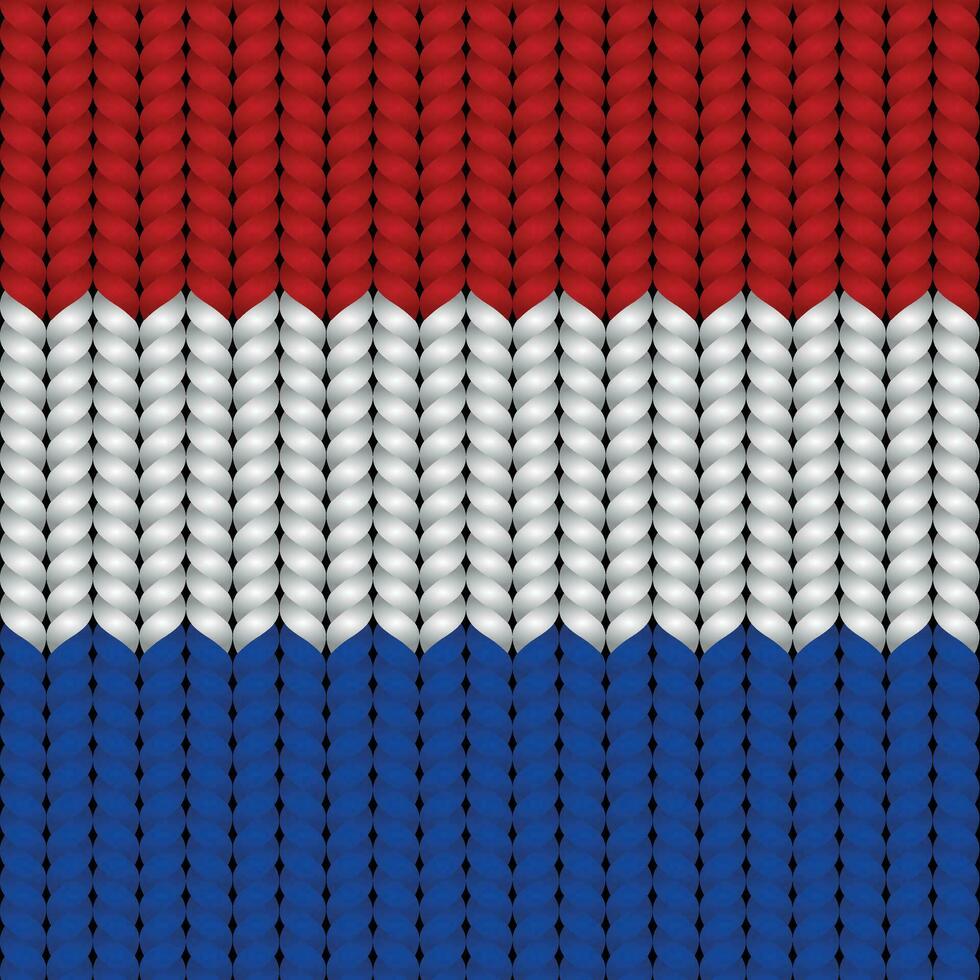 nacional bandera trenzado cuerda vector