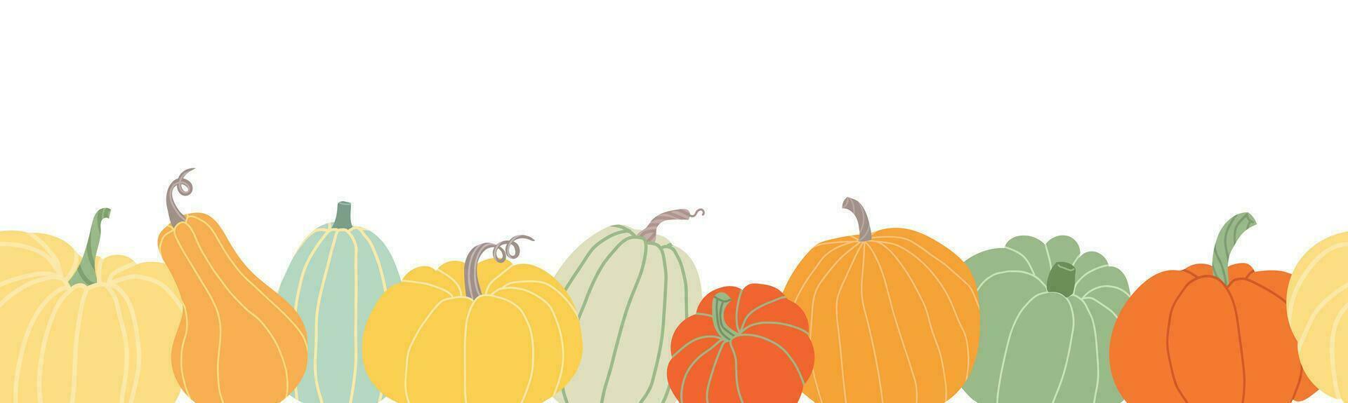 Pumpkins seamless border isolated on white background. Set of Different colored pumpkins . Autumn pumpkin harvest. Agriculture season. vector