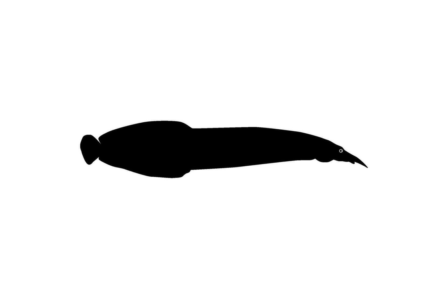 Silhouette of the fire eel, Mastacembelus erythrotaenia, is a relatively large species of spiny eel, can use for art Illustration, logo type, pictogram, website, or graphic design element. Vector