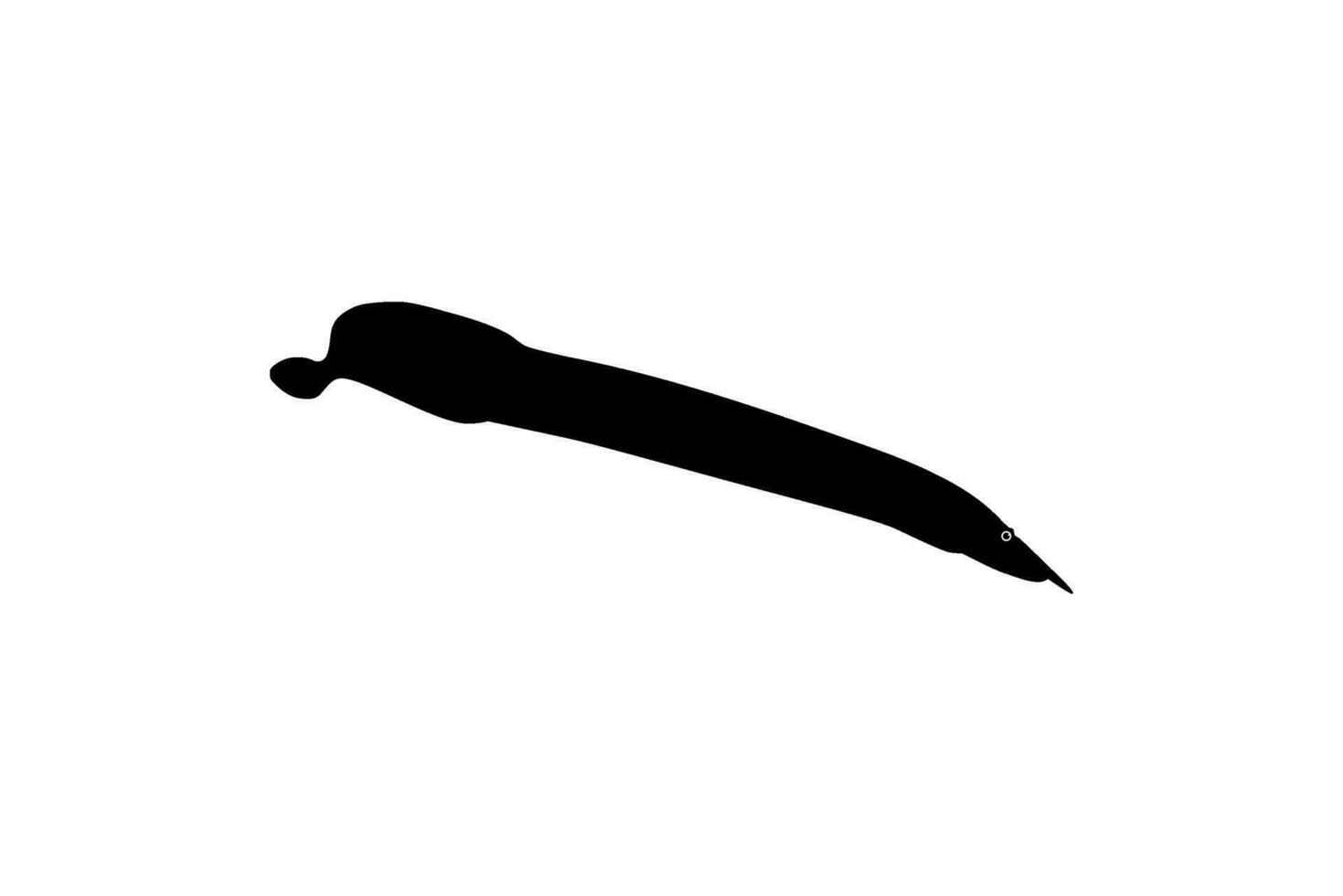 Silhouette of the fire eel, Mastacembelus erythrotaenia, is a relatively large species of spiny eel, can use for art Illustration, logo type, pictogram, website, or graphic design element. Vector